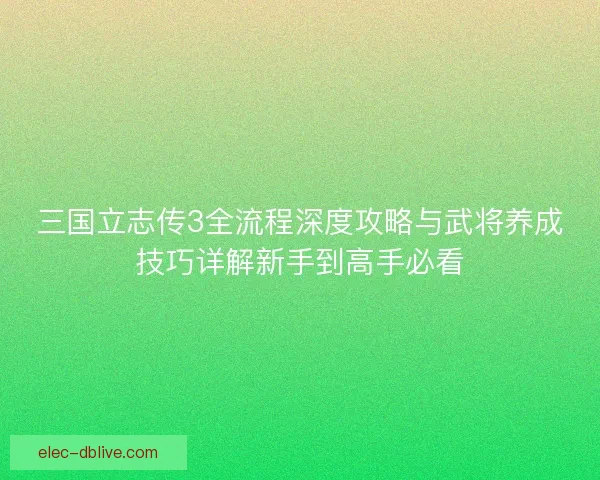 三国立志传3全流程深度攻略与武将养成技巧详解新手到高手必看