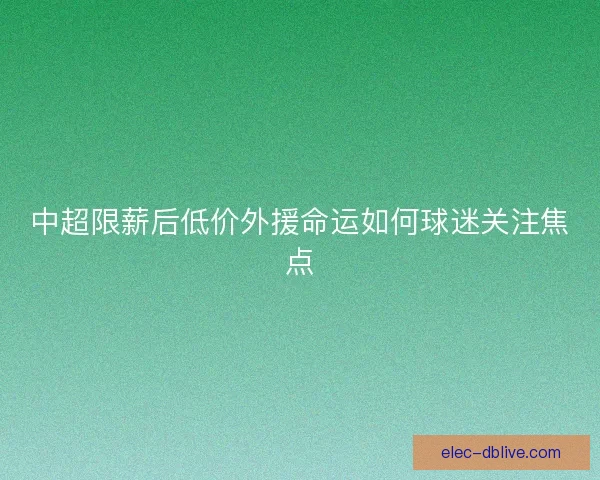 中超限薪后低价外援命运如何球迷关注焦点